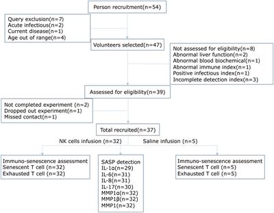Characterization of age-related immune features after autologous NK cell infusion: Protocol for an open-label and randomized controlled trial